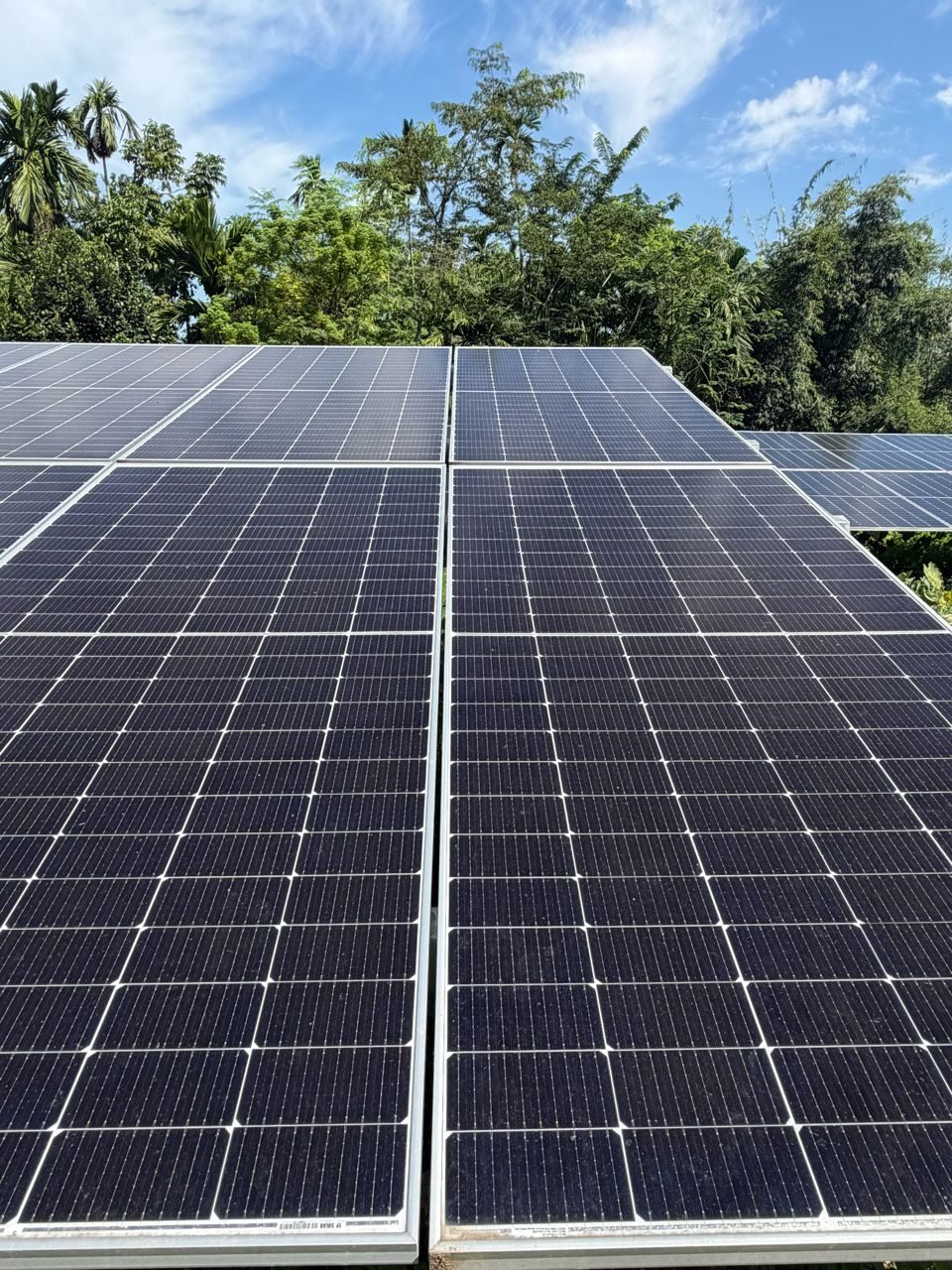 Solar modules of the 230 kWp Borpatra Tea Estate plant, Assam, installed by Arrays Ingenieria (Ingenieria)
